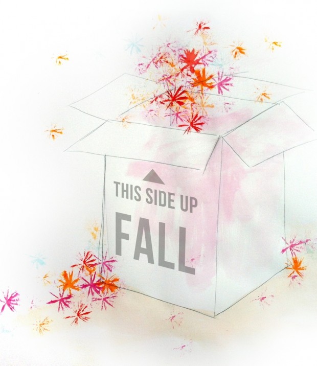 fall illu